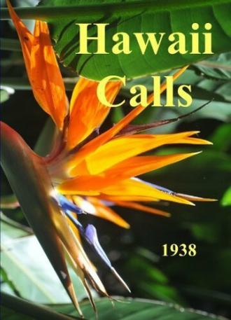 Hawaii Calls (фильм 1938)