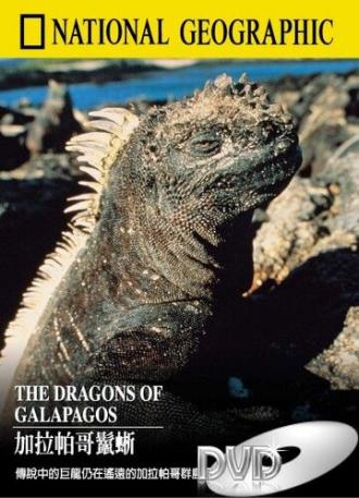 Галапагосские драконы (фильм 1998)
