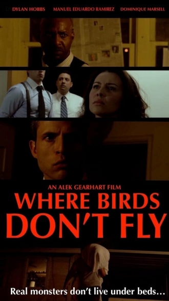 Where Birds Don't Fly (фильм 2017)