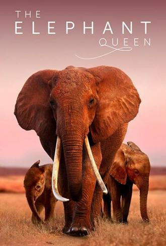 Королева слонов (фильм 2018)