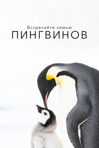 Встречайте семью пингвинов (фильм 2020)