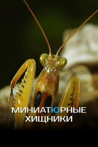 Миниатюрные хищники (фильм 2019)