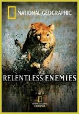 Непримиримые противники 2006