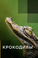 Крокодилы (2019)