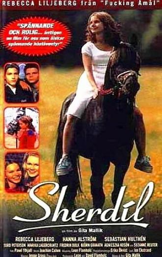 Sherdil (фильм 1999)