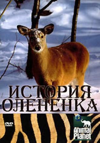 История олененка (фильм 2003)