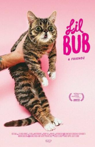 Лил Буб и друзья (фильм 2013)