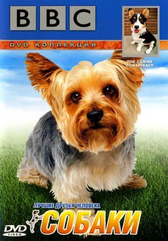 BBC: Собаки (фильм 2002)