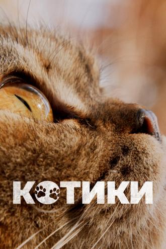 Котики (фильм 2022)