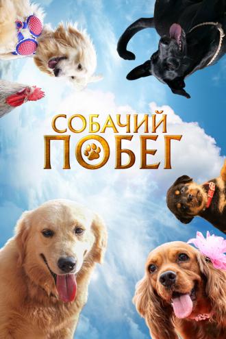 Собачий побег (фильм 2023)