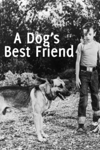 A Dog's Best Friend (фильм 1959)