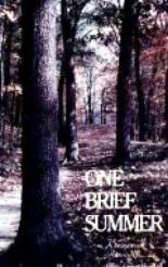 One Brief Summer 1971