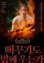 Кукушка кричит по ночам? (1980)