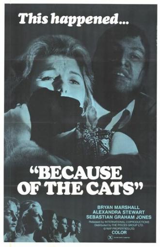 Из-за кошек (фильм 1973)