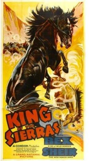 King of the Sierras (фильм 1938)