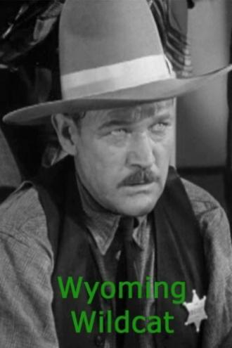 Wyoming Wildcat (фильм 1941)