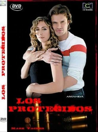 Защитники (сериал 2008)