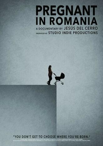 Sunt Insarcinata, in Romania (фильм 2016)