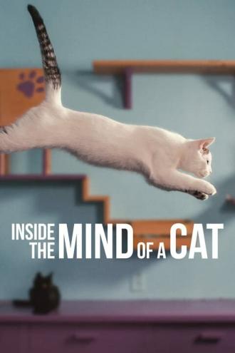 Внутри разума кошки (фильм 2022)