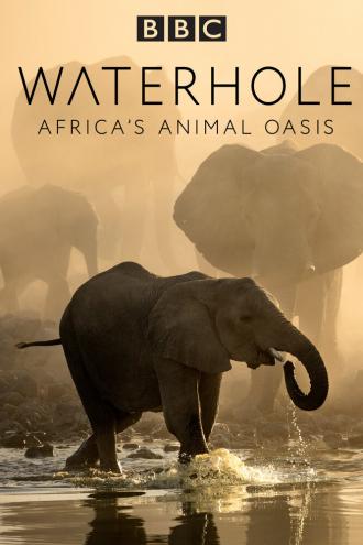 Waterhole: Africa's Animal Oasis (фильм 2020)