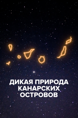 Дикая природа Канарских островов (фильм 2021)
