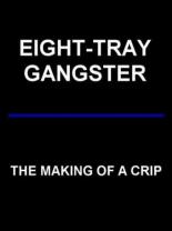 Eight-Tray Gangster: The Making of a Crip 1993