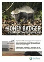 Ultimate Honey Badger (2013)