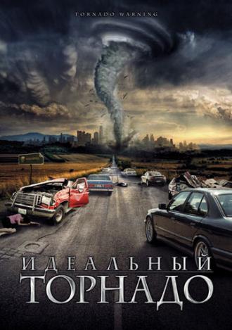 Идеальный торнадо (фильм 2002)