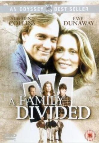 Разделённая семья (фильм 1995)