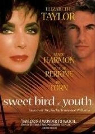 Сладкоголосая птица юности (фильм 1989)