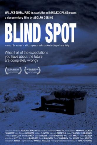 Blind Spot (фильм 2008)