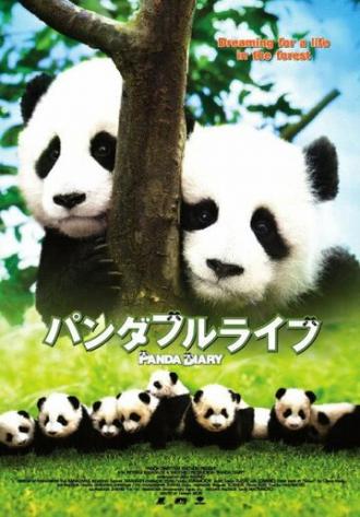 Дневник панды (фильм 2008)