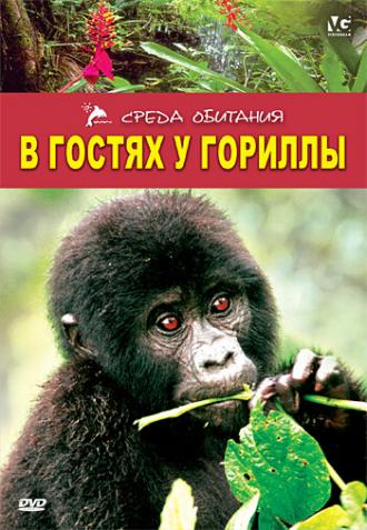 В гостях у гориллы (фильм 1997)