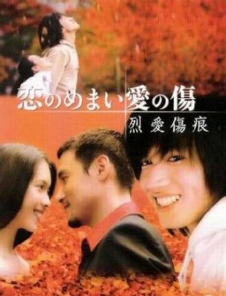 Раны любви (фильм 2002)