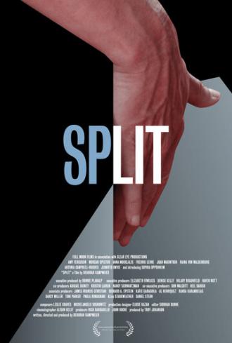 Split (фильм 2016)