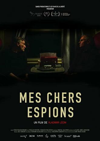 Mes chers espions (фильм 2020)