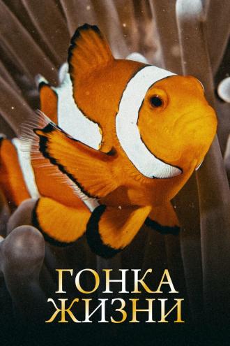 Гонка жизни (сериал 2015)