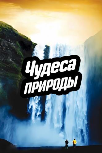 Чудеса природы (сериал 2012)