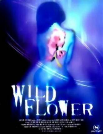 Полевые цветы (фильм 2000)