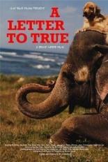 A Letter to True (2004)