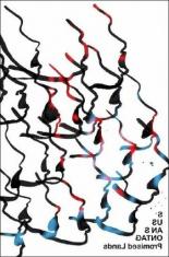 Promised Lands (1974)