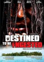 Holocaust Holocaust 2008