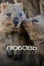 Любовь под вопросом? (2020)