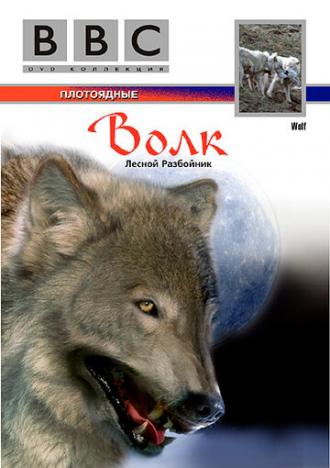 BBC: Волк (фильм 1997)