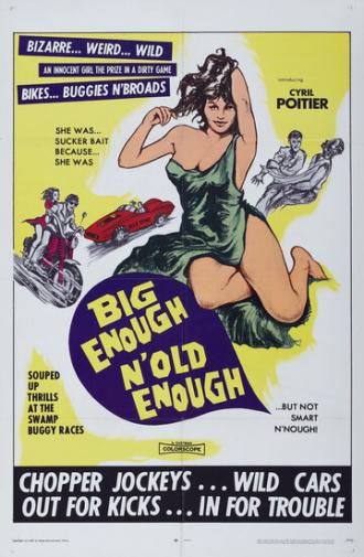 Бунтари из ада (фильм 1968)