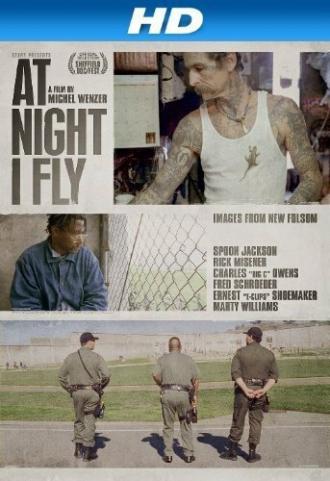 At Night I Fly (фильм 2011)