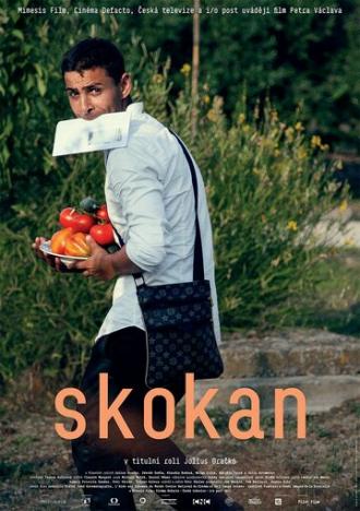 Skokan (фильм 2017)