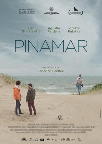 Пинамар (фильм 2016)