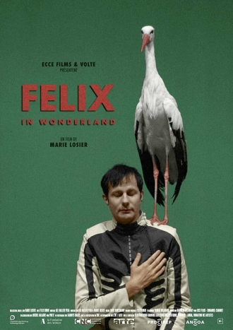 Felix in Wonderland (фильм 2019)
