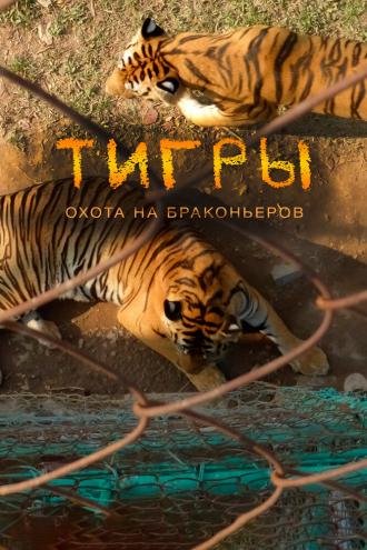 Тигры: Охота на браконьеров (фильм 2020)